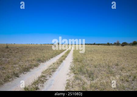 Strada sabbiosa e ghiaia attraverso il deserto nel bellissimo Parco Nazionale del Kalahari. Concetto di turismo e vacanza. Namibia, Africa. Foto Stock