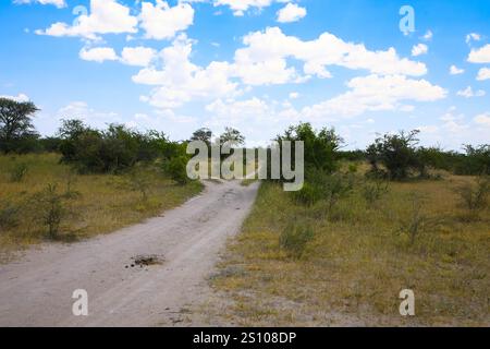 Strada sabbiosa e ghiaia attraverso il deserto nel bellissimo Parco Nazionale del Kalahari. Concetto di turismo e vacanza. Namibia, Africa. Foto Stock