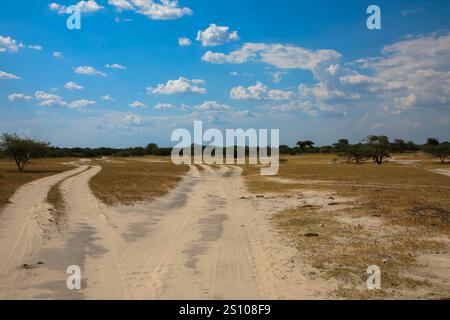 Strada sabbiosa e ghiaia attraverso il deserto nel bellissimo Parco Nazionale del Kalahari. Concetto di turismo e vacanza. Namibia, Africa. Foto Stock