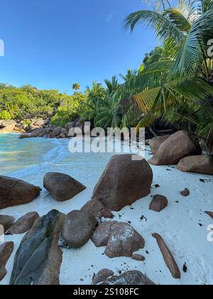 Una spiaggia tropicale isolata con massi di granito, palme e acque cristalline che lambiscono dolcemente sulla spiaggia di sabbia bianca. Ideale per i viaggi. Foto Stock