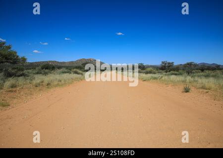 Strada sabbiosa e ghiaia attraverso il deserto nel bellissimo Parco Nazionale del Kalahari. Concetto di turismo e vacanza. Namibia, Africa. Foto Stock