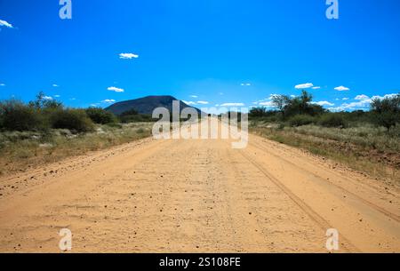 Strada sabbiosa e ghiaia attraverso il deserto nel bellissimo Parco Nazionale del Kalahari. Concetto di turismo e vacanza. Namibia, Africa. Foto Stock