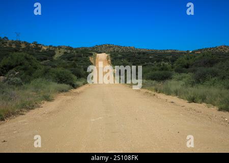 Strada sabbiosa e ghiaia attraverso il deserto nel bellissimo Parco Nazionale del Kalahari. Concetto di turismo e vacanza. Namibia, Africa. Foto Stock