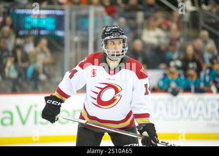 Newark, Stati Uniti. 29 dicembre 2024. Hayley Scamurra (14 anni) durante la partita della PWHL di domenica. I New York Sirens ospitarono l'Ottawa Charge al Prudential Center di Newark, New Jersey. (Foto di Jess Stiles/Sipa USA) credito: SIPA USA/Alamy Live News Foto Stock