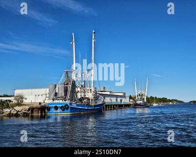 Gamberi attraccati nel canale di Port St Joe, Florida Foto Stock