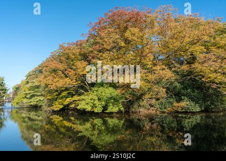 Fossato del parco del castello di Takaoka (Toyama/Giappone) Foto Stock