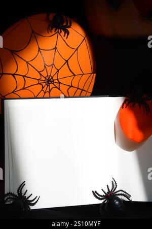 Rete decorativa con ragni alla luce del sole per Halloween. Sfondo bianco per testo per le vacanze. Foto Stock