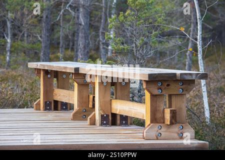 Una panca di legno situata su una passerella di legno in un'area boscosa. Il banco è realizzato in tavole di legno massiccio ed è fissato alla passerella con fa in metallo Foto Stock
