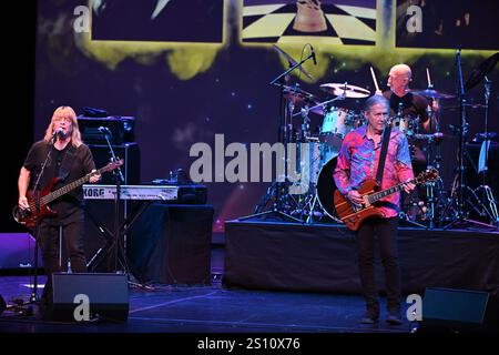 Fort Lauderdale, Florida, Stati Uniti. 29 dicembre 2024. Zebra si esibisce al Parker il 29 dicembre 2024 a Fort Lauderdale in Florida. Crediti: Mpi04/Media Punch/Alamy Live News Foto Stock