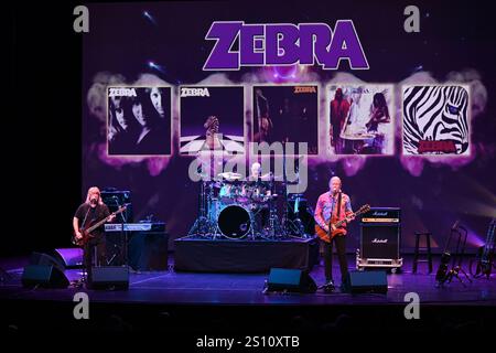 Fort Lauderdale, Florida, Stati Uniti. 29 dicembre 2024. Zebra si esibisce al Parker il 29 dicembre 2024 a Fort Lauderdale in Florida. Crediti: Mpi04/Media Punch/Alamy Live News Foto Stock