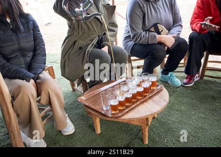versare tè alla menta verde marocchina da un'altezza elevata in una tenda per un tour turistico del marocco Foto Stock