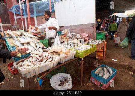 pesce fresco in vendita all'aperto al tradizionale mercato berbero giorno amazigh market asni marocco Foto Stock
