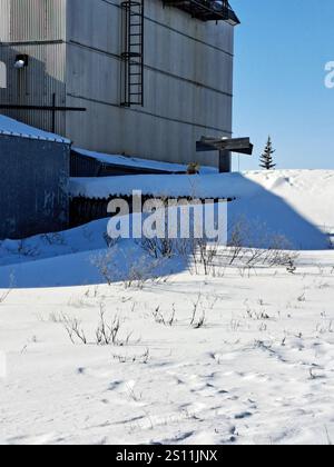 Volpe artica presso il campo di lancio dei razzi dismessi a Churchill, Manitoba, Canada Foto Stock