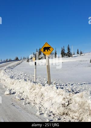 Cartello segnaletico dell'orso polare a Churchill, Manitoba, Canada Foto Stock