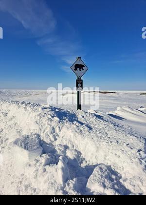 Cartello segnaletico dell'orso polare a Churchill, Manitoba, Canada Foto Stock