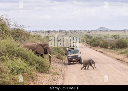 Madre elefante con bambino che attraversa la strada sterrata durante un safari naturalistico nel Serengeti in Tanzania, Africa orientale Foto Stock