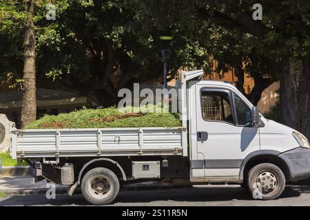 Vista laterale di un piccolo pick up bianco parcheggiato pieno di erba tagliata, erbacce, piante secche e foglie in tarda estate, Messina, Sicilia, Italia, Foto Stock