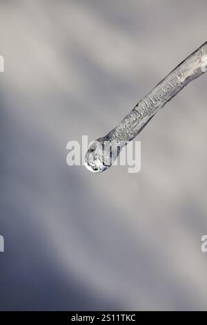 Single icicle, macro, inverno 2010 insolitamente freddo, foto simbolo clima invernale, temperature sotto lo zero, meteorologia, passato, Hoexter, Germania, Europa Foto Stock