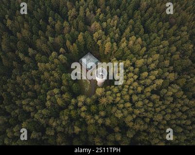 Veduta aerea di una torre nel mezzo di una fitta foresta verde, Unterhaugstett, Foresta Nera, Distretto di Calw, Germania, Europa Foto Stock