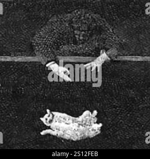 Caduta Cat 1894 fase 7. Foto Stock