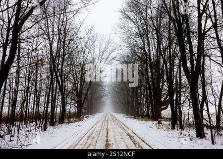 Nebbia e neve su una strada secondaria nella contea di Mecosta, Michigan, Stati Uniti Foto Stock