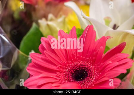 Una vista ravvicinata di un mazzo di fiori colorato, presso il negozio. Foto Stock
