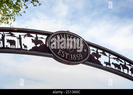 Temecula, California, Stati Uniti - 04-08-2019: Una veduta del cartello d'ingresso che sovrasta il centro di Temecula. Foto Stock