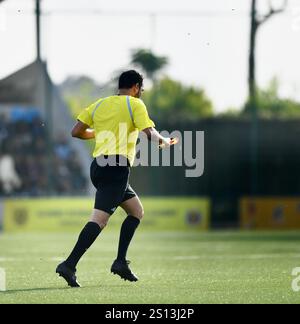 Bengaluru, India. 30 dicembre 2024. L'amichevole FIFA tra India e Maldive è stata interrotta per 15 minuti dopo che un linesman è stato colpito dalle api. Ha attraversato il campo alla ricerca di giocatori per trovare shelter.in Bengaluru, India. Credito: Ranjith Kumar/Alamy Live News. Foto Stock