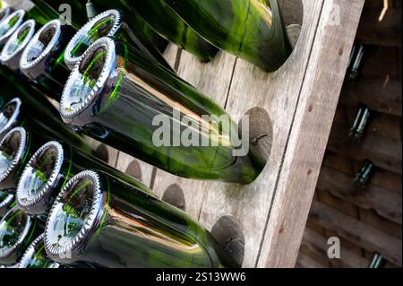 Visita di un vecchio coltivatore di champagne e produttore nel piccolo villaggio Grand Cru di Ambonnay, Champagne, Francia. Bottiglie di champagne vuote su pupitre di legno Foto Stock