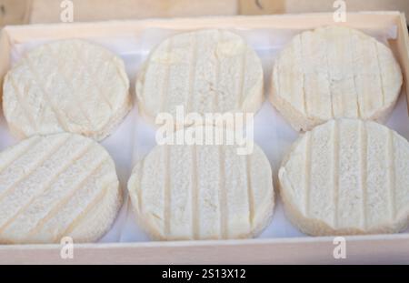 Rocamadour o Cabecous formaggio caprino morbido AOC con crosta tenera prodotto in azienda a Perigord e Quercy sul mercato agricolo, lotto di dipartimento in Francia Foto Stock