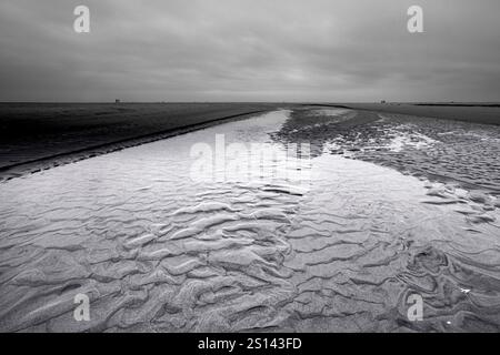 Mare di wadden in un clima autunnale, Paesi Bassi, Texel, Duenen von Texel Nationalpark Foto Stock
