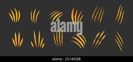 Graffio di gatto. Graffi Golden Caw isolati su sfondo nero. Segni del drago, dell'orso o dell'artiglio della tigre. Zampa mostro di Halloween traccia di graffio sulla superficie Illustrazione Vettoriale