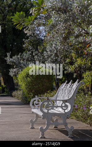 Vista laterale della panchina del giardino in ghisa dipinta di bianco in stile vittoriano con cespuglio sullo sfondo del parco cittadino. Luce solare sulla superficie dello schienale di orna vuota Foto Stock