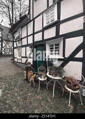 Cultura viaggi Germania Europa, villaggi fiabeschi tedeschi Vista dettagliata della città di Freudenberg nel Siegerland Germania Foto Stock