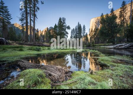 Vista dell'imponente monolite di granito di El Capitan, nel Parco Nazionale di Yosemite, all'alba, con il fiume Merced che scorre in primo piano. Foto Stock