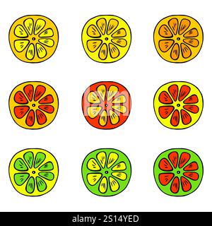 Set di icone degli agrumi. Lime, limone, arancia, pompelmo, fette. Illustrazione Vettoriale