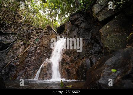 Una splendida cascata di Diguisit Falls ad Aurora che scende giù dalle rocce ricoperte di muschio in una lussureggiante foresta verde. La vegetazione circostante e il terreno accidentato migliorano la t Foto Stock