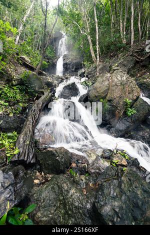 Una splendida cascata di Diguisit Falls ad Aurora che scende giù dalle rocce ricoperte di muschio in una lussureggiante foresta verde. La vegetazione circostante e il terreno accidentato migliorano la t Foto Stock