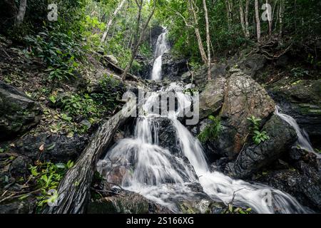Una splendida cascata di Diguisit Falls ad Aurora che scende giù dalle rocce ricoperte di muschio in una lussureggiante foresta verde. La vegetazione circostante e il terreno accidentato migliorano la t Foto Stock