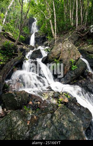 Una splendida cascata di Diguisit Falls ad Aurora che scende giù dalle rocce ricoperte di muschio in una lussureggiante foresta verde. La vegetazione circostante e il terreno accidentato migliorano la t Foto Stock