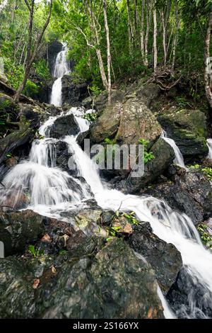 Una splendida cascata di Diguisit Falls ad Aurora che scende giù dalle rocce ricoperte di muschio in una lussureggiante foresta verde. La vegetazione circostante e il terreno accidentato migliorano la t Foto Stock