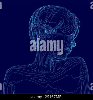 La testa della donna è mostrata in blu. L'immagine è un disegno generato al computer della testa di una donna. I capelli della donna sono modellati in un panino, e il suo viso Illustrazione Vettoriale
