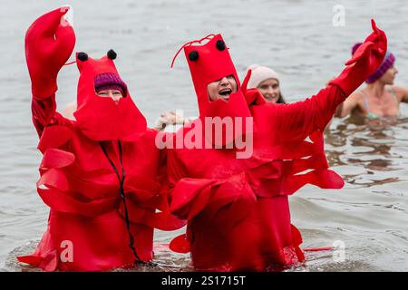 South Queensferry, Regno Unito. 1 gennaio 2025. Le persone partecipano all'annuale "Loony Dook" per celebrare il Capodanno 2025. Crediti: Euan Cherry/Alamy Live News Foto Stock