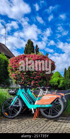 Le e-bike a tre livelli verdi sono pronte per l'uso sulla strada sullo sfondo di fiori rosa e cielo blu con nuvole bianche. Cambiare la mobilità per il bene Foto Stock