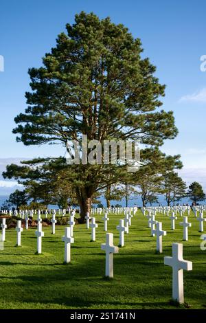 Cimitero americano di Colleville, Normandia, Francia Foto Stock