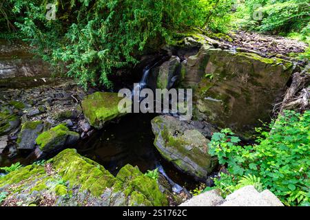Parte inferiore delle Fairy Falls, chiamata Rhaeadr y Tylwyth TEG in gallese. Cascata nella contea di Trefriw Conwy, Galles del Nord, Regno Unito, acqua bassa perché se Sum Foto Stock
