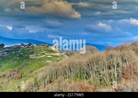 Un paesaggio panoramico caratterizzato da colline verdi ondulate e una foresta di faggi sotto un cielo nuvoloso. Vitoriano, Araba, Paesi Baschi, Spagna. Foto Stock