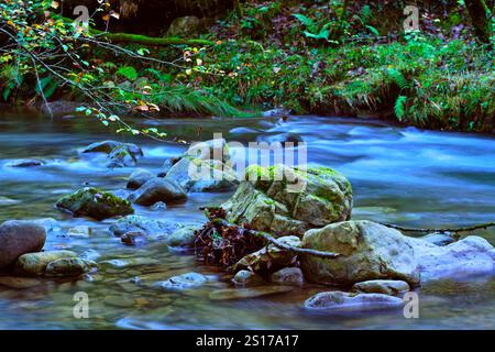Primo piano di rocce muschiate nel fiume Bayones che scorre attraverso la foresta di Ucieda nella valle di Cabuerniga, Cantabria, Spagna. Foto Stock