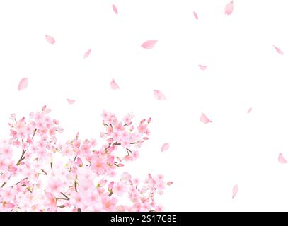Albero di ciliegio in fiore - splendidi fiori di ciliegio rosa chiaro e petali primavera acquerello sfondo bianco cornice clipart di sfondo Illustrazione Vettoriale