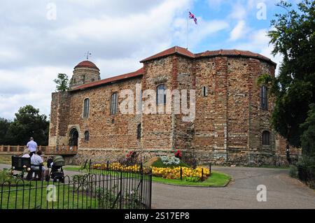 Castello di Colchester. Mostra l'albero di Sycamore. Foto Stock